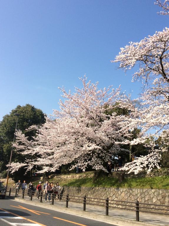 Higashiyama Hale Temari * Kyōto